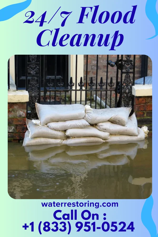 24/7 Flood Cleanup in Wanda, MN
