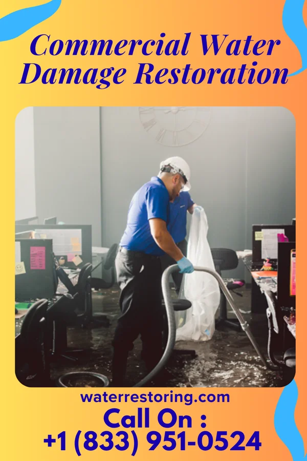 Commercial Water Damage Restoration in Wanda, MN